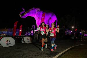 BIB: 
                            <button type="button" onclick="openModal(26534769)" class="btn btn-primary btn-sm float-right btn-popup" data-toggle="modal" data-target=".modal-high-quality">
                        <i class="fas fa-shopping-cart"></i> Add to Cart
                    </button>
                                            <button type="button" onclick="isThisMe(26534769, true)" class="btn btn-success btn-sm float-right btn-popup btn-isme hidden" data-toggle="tooltip" data-placement="bottom" title="นี่คือรูปของคุณใช่ไหม คลิกที่นี่เพื่อเอาเข้าอัลบั้ม">
                        <i class="fas fa-plus"></i> Add to album
                    </button>
                    <button type="button" onclick="isThisMe(26534769, false)" class="btn btn-warning btn-sm float-right btn-popup btn-isnotme hidden">
                        <i class="fas fa-ban"></i> Remove from album
                    </button>